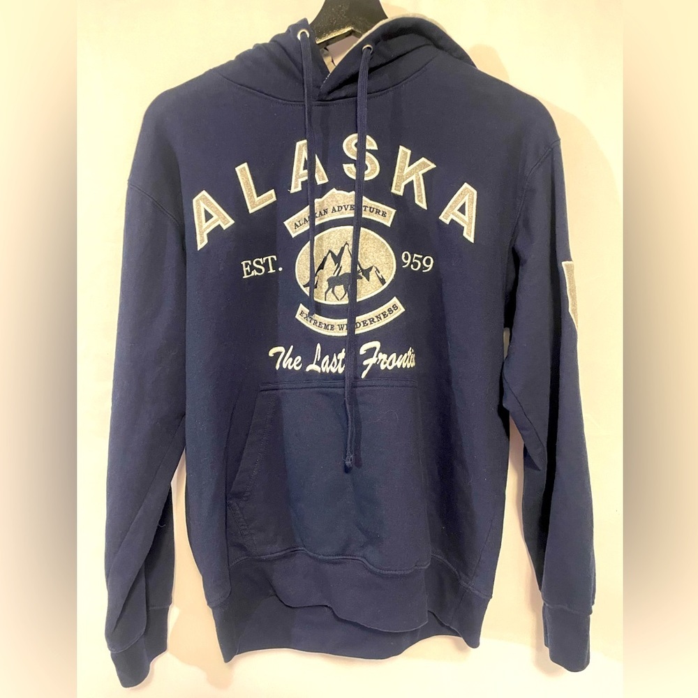 Vintage Embroidered Alaska hoodie - Picture 2 of 6
